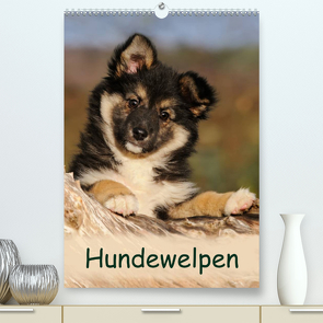 Hundewelpen (Premium, hochwertiger DIN A2 Wandkalender 2022, Kunstdruck in Hochglanz) von Menden,  Katho