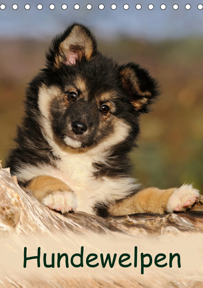 Hundewelpen (Tischkalender 2021 DIN A5 hoch) von Menden,  Katho