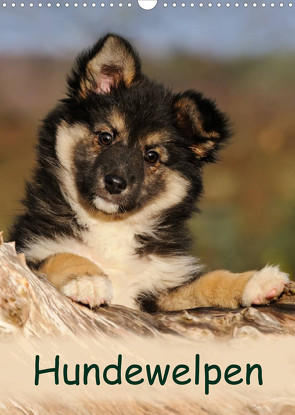 Hundewelpen (Wandkalender 2022 DIN A3 hoch) von Menden,  Katho