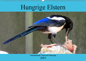 Hungrige Elstern – Faszinierende Vögel auf Futterjagd (Wandkalender 2019 DIN A2 quer) von von Loewis of Menar,  Henning