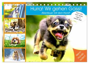 Hurra! Wir gehen Gassi! Abenteuer mit dem Hund! (Tischkalender 2024 DIN A5 quer), CALVENDO Monatskalender von Hurley,  Rose