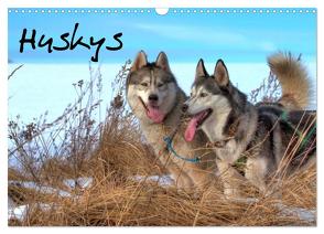 Huskys (Wandkalender 2024 DIN A3 quer), CALVENDO Monatskalender von Kalanke,  Jens
