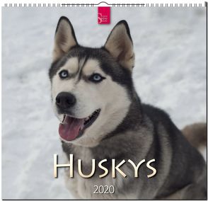 Huskys von Redaktion Verlagshaus Würzburg,  Bildagentur