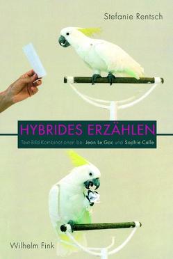 Hybrides Erzählen von Rentsch,  Stefanie