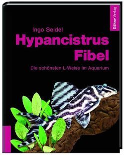 Hypancistrus-Fibel von Seidel,  Ingo