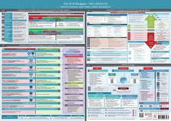 ICD-10 (F) Navigator Wandposter – Teil 1 (F0 bis F3) (2023) – Ideal zur Prüfungsvorbereitung für Heilpraktiker Psychotherapie (PSY) von Cremer,  Samuel, Schumacher,  Christian, www.futurepacemedia.de