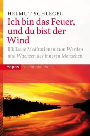 Ich bin das Feuer, und du bist der Wind von Schlegel,  Helmut