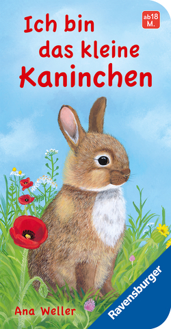 Ich bin das kleine Kaninchen von Dierks,  Hannelore, Weller,  Ana