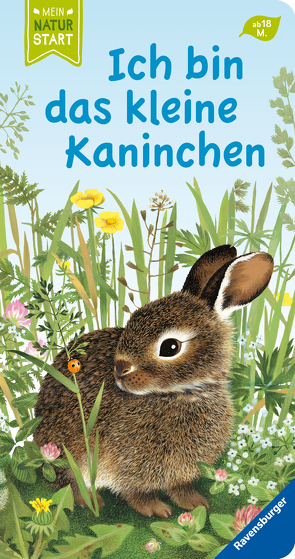 Ich bin das kleine Kaninchen von Müller,  Gerda, Wiencirz,  Gerlinde