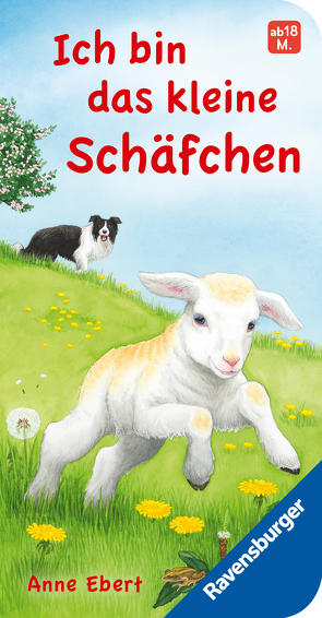 Ich bin das kleine Schäfchen von Dierks,  Hannelore, Ebert,  Anne