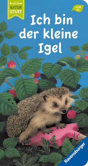 Ich bin der kleine Igel von Müller,  Gerda, Stottele,  Gisela