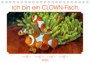 Ich bin ein CLOWN-Fisch (Tischkalender 2020 DIN A5 quer) von Gödecke,  Dieter