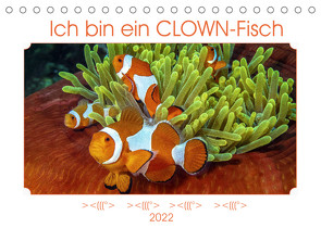 Ich bin ein CLOWN-Fisch (Tischkalender 2022 DIN A5 quer) von Gödecke,  Dieter