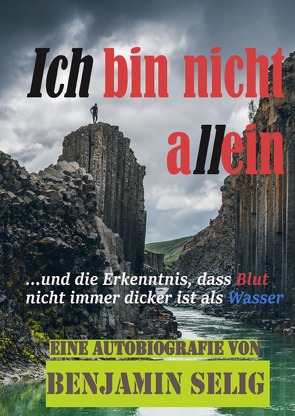 Ich bin nicht allein von Selig,  Benjamin