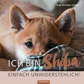 Ich bin Shiba. Einfach unwiderstehlich! von Schober,  Christiane