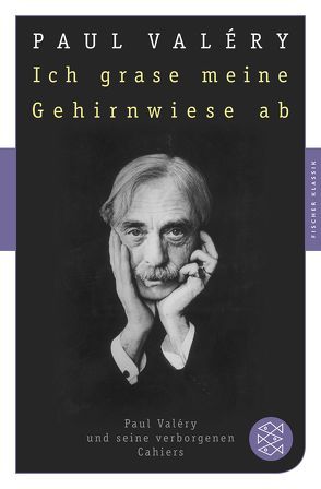 Ich grase meine Gehirnwiese ab von Boeschenstein,  Bernhard, Huschke,  Reinhard, Jakob,  Markus, Koehler,  Hartmut, Looser,  Max, Mäder-Viragh,  Christine, Schmidt-Radefeldt,  Jürgen, Schmiele,  Corona, Stölzel,  Thomas, Tophoven-Schöningh,  Erika, Valéry,  Paul, Wais,  Karin