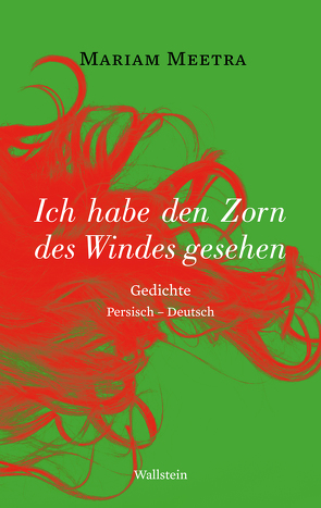 Ich habe den Zorn des Windes gesehen von Abdollahi,  Ali;Baghestani,  Susanne;Geist,  Sylvia;Scharf,  Kurt, Meetra,  Mariam