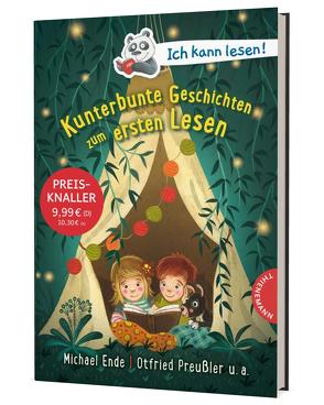 Ich kann lesen!: Kunterbunte Geschichten zum ersten Lesen von Dulleck,  Nina