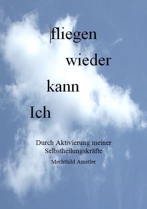 Ich kann wieder fliegen von Amstler,  Mechthild