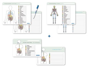 Ich kenne meinen Körper – Organe / Skelett / Verdauung- 3 Tafeln im Set mit Stift von Langhans,  Katrin