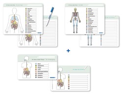 Ich kenne meinen Körper – Organe / Skelett / Verdauung- 3 Tafeln im Set mit Stift von Langhans,  Katrin