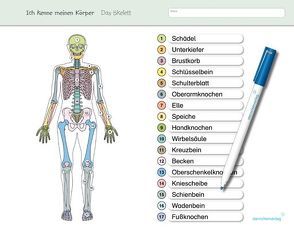 Ich kenne meinen Körper – Das Skelett von Langhans,  Katrin