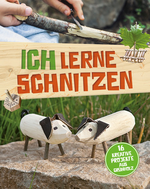 Ich lerne Schnitzen – 16 kreative Projekte aus Grünholz