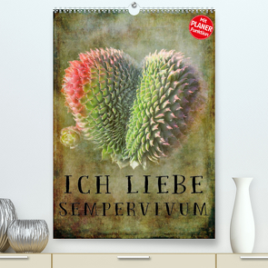 Ich liebe Sempervivum (Premium, hochwertiger DIN A2 Wandkalender 2022, Kunstdruck in Hochglanz) von Cross,  Martina
