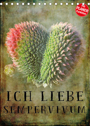 Ich liebe Sempervivum (Tischkalender 2022 DIN A5 hoch) von Cross,  Martina