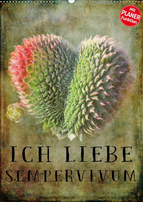 Ich liebe Sempervivum (Wandkalender 2021 DIN A2 hoch) von Cross,  Martina