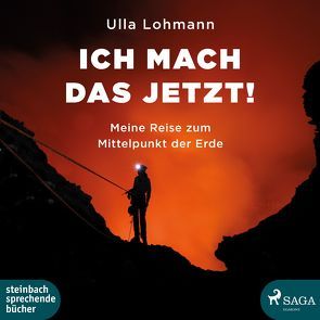 Ich mach das jetzt! von Lohmann,  Ulla, Rysopp,  Beate