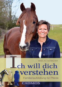 Ich will dich verstehen von Hutmacher,  Angelika