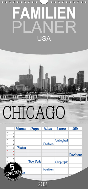 Icy Chicago – Familienplaner hoch (Wandkalender 2021 , 21 cm x 45 cm, hoch) von Stein,  David