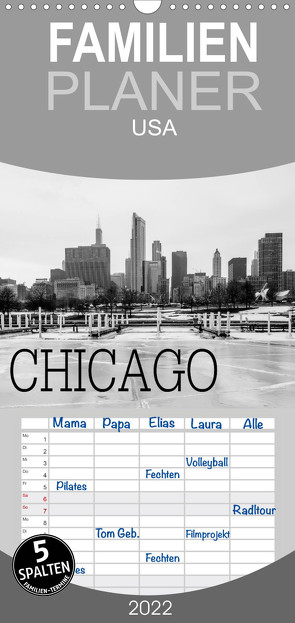 Familienplaner Icy Chicago (Wandkalender 2022 , 21 cm x 45 cm, hoch) von Stein,  David