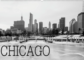 Icy Chicago (Wandkalender 2021 DIN A2 quer) von Stein,  David