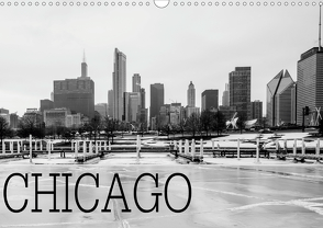 Icy Chicago (Wandkalender 2021 DIN A3 quer) von Stein,  David