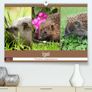 Igel 2021. Tierische Impressionen (Premium, hochwertiger DIN A2 Wandkalender 2021, Kunstdruck in Hochglanz) von Lehmann (Hrsg.),  Steffani