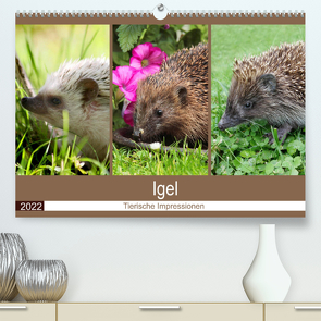 Igel 2022. Tierische Impressionen (Premium, hochwertiger DIN A2 Wandkalender 2022, Kunstdruck in Hochglanz) von Lehmann (Hrsg.),  Steffani