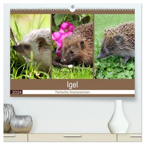 Igel 2024. Tierische Impressionen (hochwertiger Premium Wandkalender 2024 DIN A2 quer), Kunstdruck in Hochglanz von Lehmann (Hrsg.),  Steffani