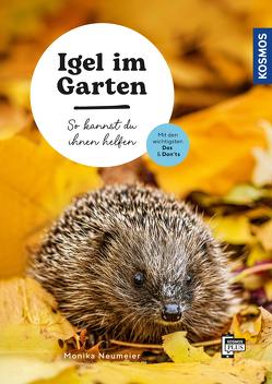 Igel im Garten von Neumeier,  Monika