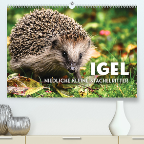 Igel – Niedliche kleine Stachelritter (Premium, hochwertiger DIN A2 Wandkalender 2023, Kunstdruck in Hochglanz) von SF