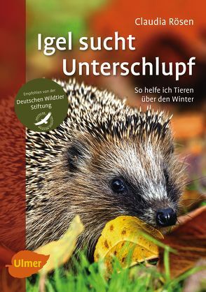 Igel sucht Unterschlupf von Rösen,  Claudia