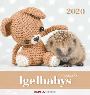 Igelbabys 2020 – Postkartenkalender (16 x 17) – Hedgehogs – zum aufstellen oder aufhängen – Geschenkidee – Tierkalender – Gadget von ALPHA EDITION