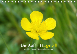 Ihr Auftritt…gelb !!! Gelbblühende Naturschönheiten (Tischkalender 2021 DIN A5 quer) von Sokoll,  Stephanie