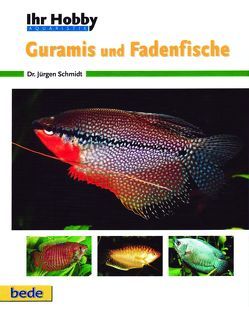 Ihr Hobby Guramis und Fadenfische von Schmidt,  Jürgen