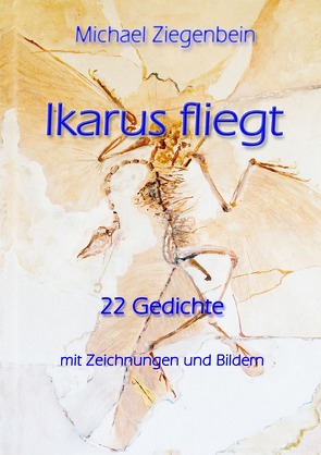 Ikarus fliegt von Ziegenbein,  Michael