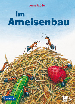 Im Ameisenbau von Möller,  Anne