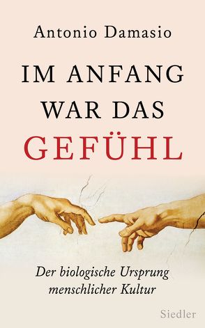 Im Anfang war das Gefühl von Damasio,  Antonio, Vogel,  Sebastian