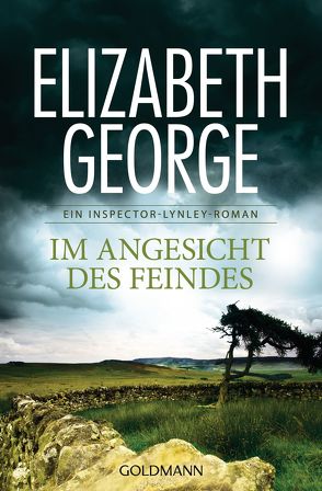 Im Angesicht des Feindes von George,  Elizabeth, Sandberg-Ciletti,  Mechtild