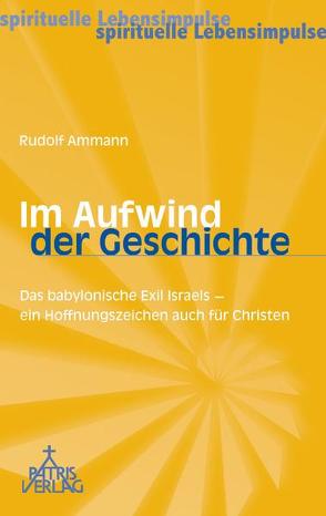 Im Aufwind der Geschichte von Ammann,  Rudolf